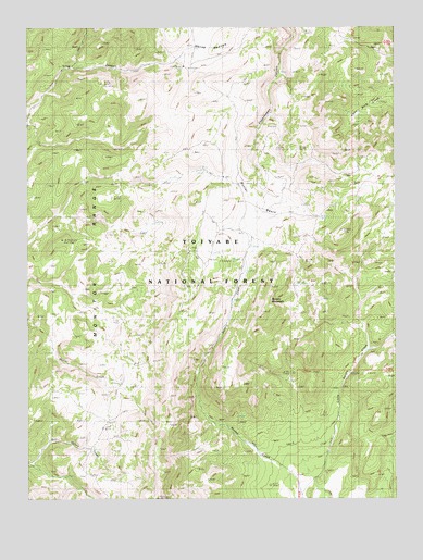Savory Mountain, NV USGS Topographic Map