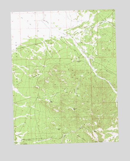Schoolmarm Basin, NV USGS Topographic Map