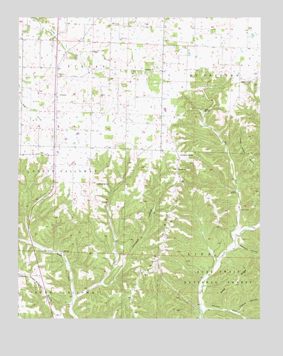 Selmore, MO USGS Topographic Map