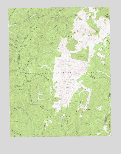 Sinks of Gandy, WV USGS Topographic Map