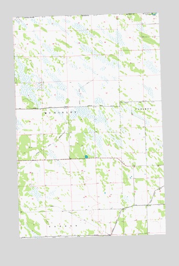 Skull Lake NE, MN USGS Topographic Map