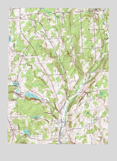 Smithville Flats, NY USGS Topographic Map