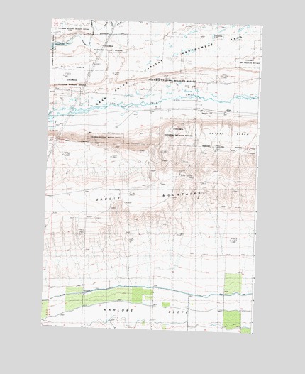 Smyrna, WA USGS Topographic Map
