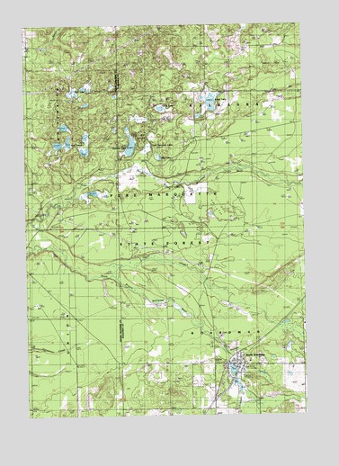 South Boardman, MI USGS Topographic Map