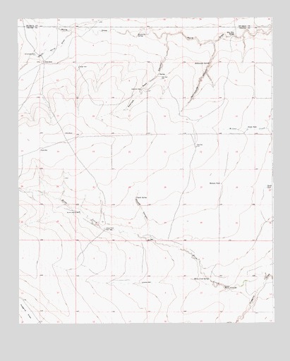 Swallow Nest Canyon, NM USGS Topographic Map