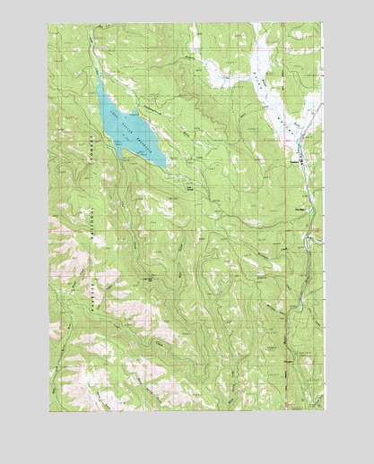 Tamarack, ID USGS Topographic Map