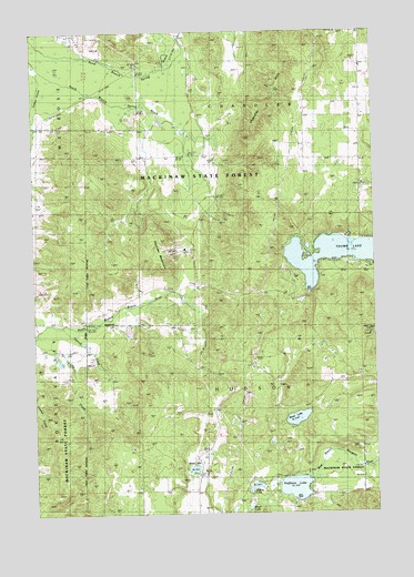 Thumb Lake, MI USGS Topographic Map