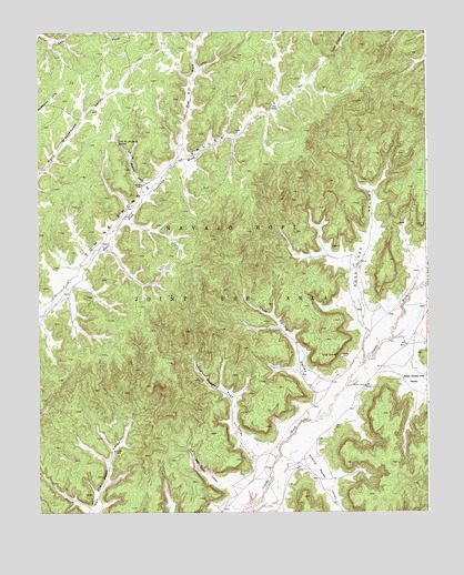 Toh NE Zhonnie Spring, AZ USGS Topographic Map