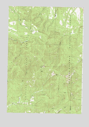 Tower Mountain, OR USGS Topographic Map