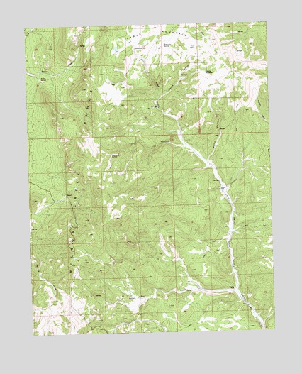 Trail Canyon, NV USGS Topographic Map