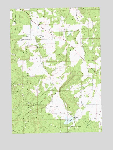 Tumalo Dam, OR USGS Topographic Map
