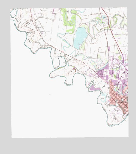West Brownsville, TX USGS Topographic Map
