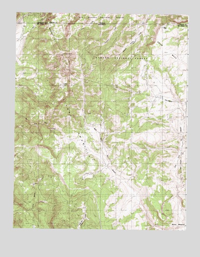 West Fork Rio Brazos, NM USGS Topographic Map