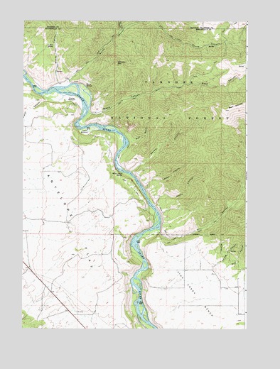Wheaton Mountain, ID USGS Topographic Map