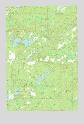 Whiteface, MN USGS Topographic Map