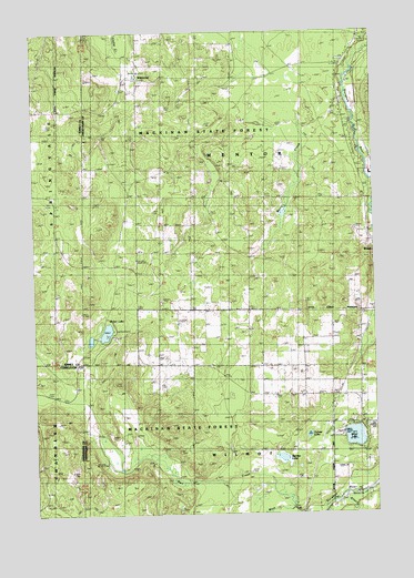 Wildwood, MI USGS Topographic Map