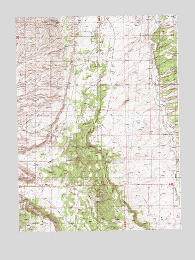 Wilkins Peak, WY USGS Topographic Map