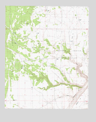 Willows Camp, AZ USGS Topographic Map
