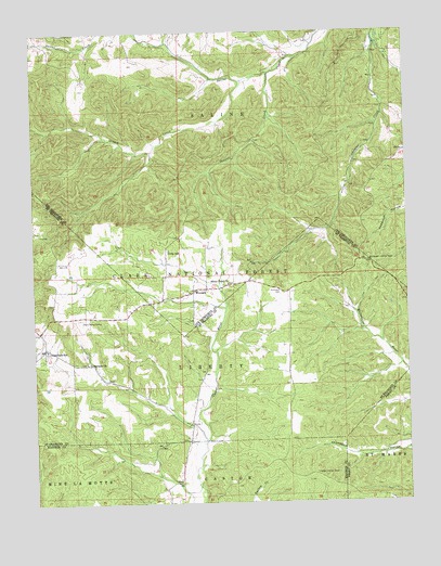 Womack, MO USGS Topographic Map