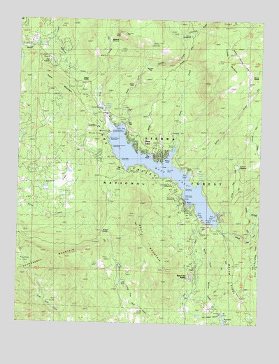Bass Lake, CA USGS Topographic Map
