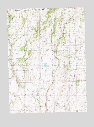 Bear Mountain, NV USGS Topographic Map