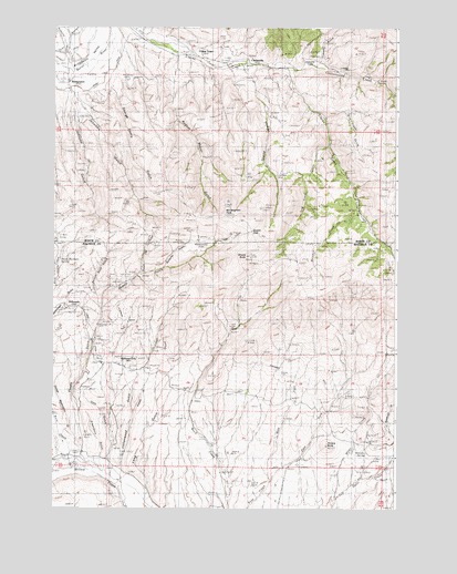 Bridgeport, OR USGS Topographic Map