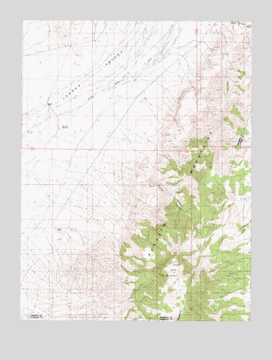 Cain Mountain, NV USGS Topographic Map