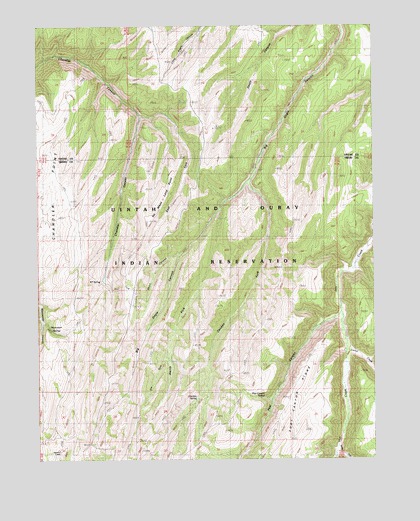 Chicken Fork, UT USGS Topographic Map