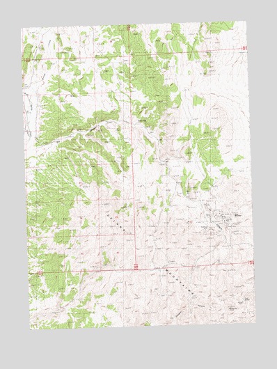 Dry Canyon, NV USGS Topographic Map