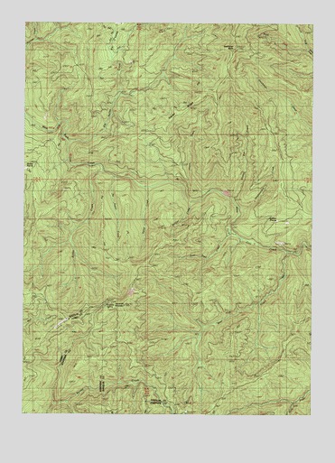 Dutchman Butte, OR USGS Topographic Map