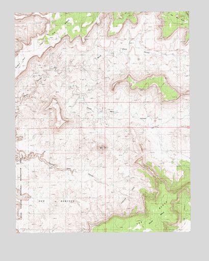 Fiddler Butte, UT USGS Topographic Map