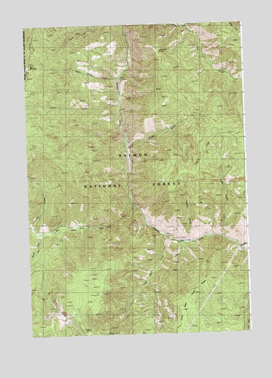 Gant Mountain, ID USGS Topographic Map