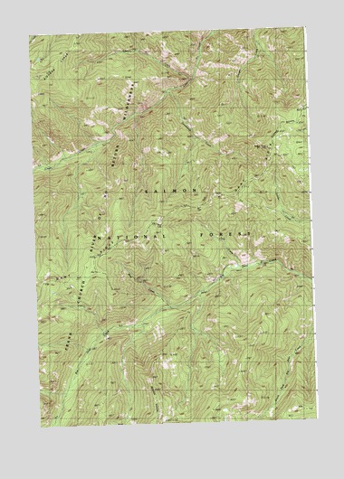 Gant Ridge, ID USGS Topographic Map
