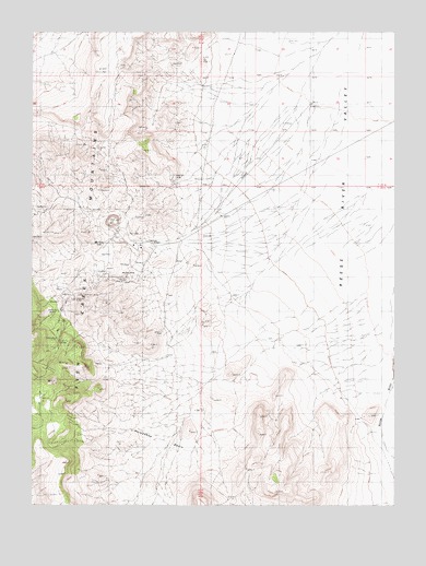 McCoy, NV USGS Topographic Map