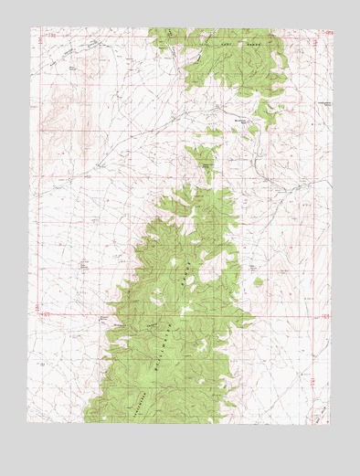 McKinney Pass, NV USGS Topographic Map