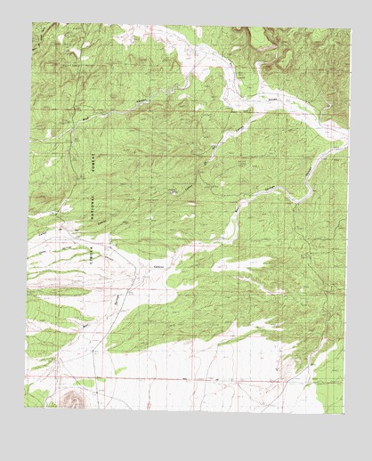 Carbon Springs, NM USGS Topographic Map