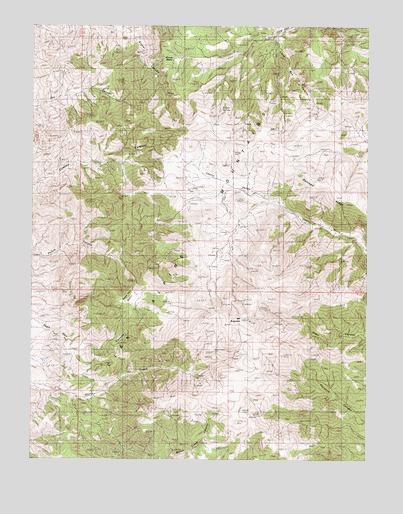 Mount Augusta, NV USGS Topographic Map