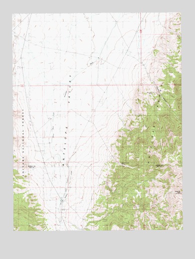 Ninemile Peak, NV USGS Topographic Map