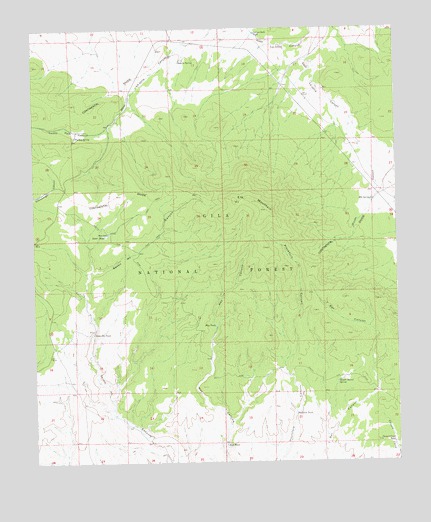 Pitchfork Canyon, NM USGS Topographic Map