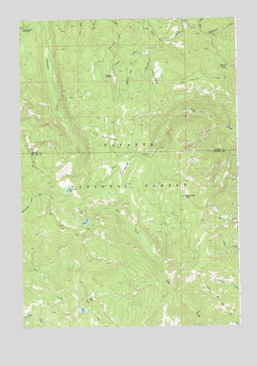 Pony Meadows, ID USGS Topographic Map