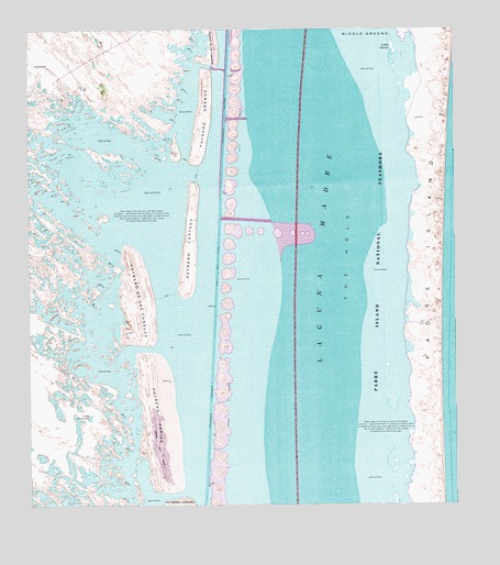 Potrero Cortado, TX USGS Topographic Map
