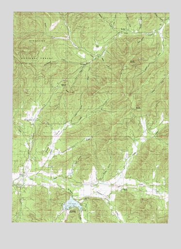 Selma, OR USGS Topographic Map