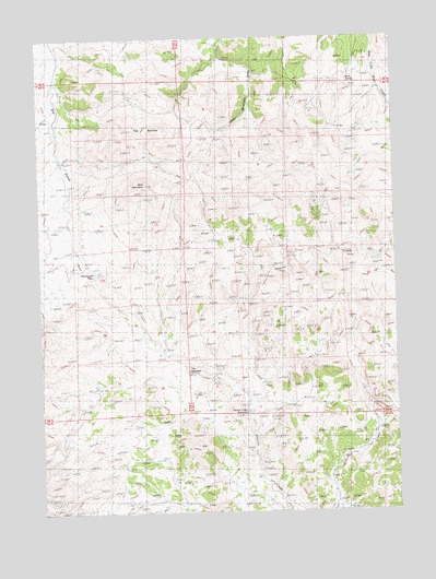 The Baldies, NV USGS Topographic Map