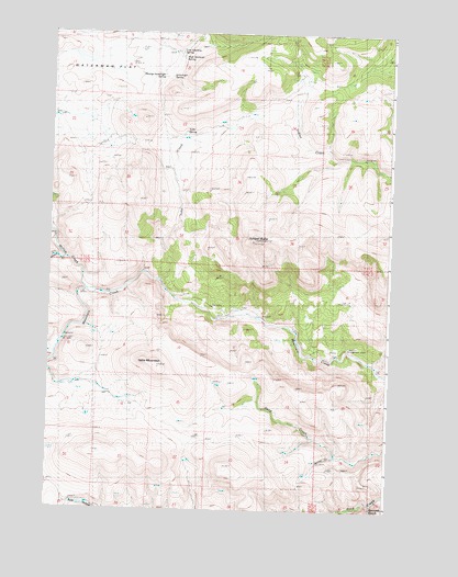 Tubb Spring, OR USGS Topographic Map