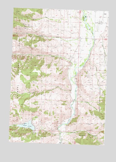 Williams Lake, ID USGS Topographic Map