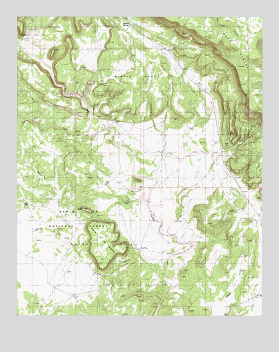 Apache Springs, NM USGS Topographic Map