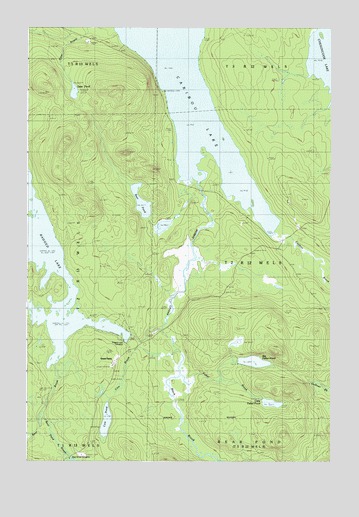 Caribou Lake South, ME USGS Topographic Map