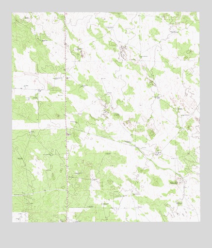Alta Vista Ranch, TX USGS Topographic Map