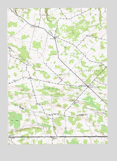 Carlisle, NY USGS Topographic Map