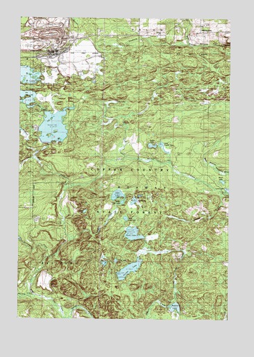 Carney Lake, MI USGS Topographic Map